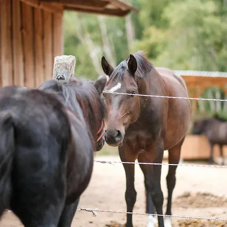 Feriegård Biohof Medewege Schwerin (Mecklenburg-Vorpommern)
