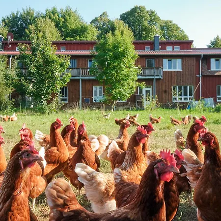 Biohof Medewege Feriegård Schwerin (Mecklenburg-Vorpommern)